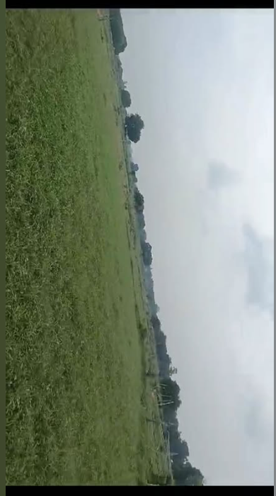 Screenshot-2025-01-13-220735