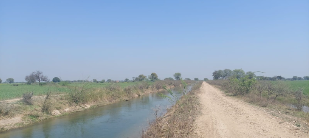 Screenshot-2025-02-11-105202