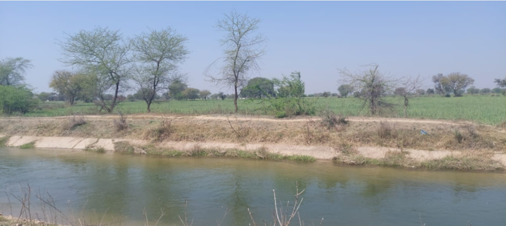 Screenshot-2025-02-11-105217