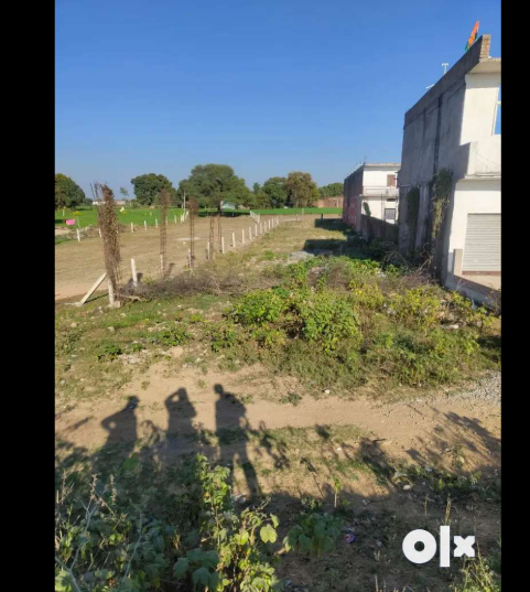 Screenshot-2025-02-11-155706