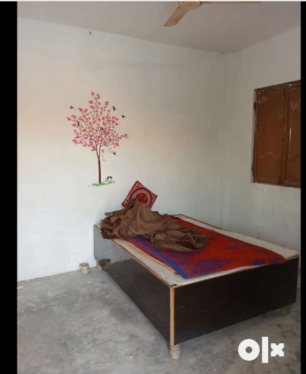 Screenshot-2025-02-12-000636