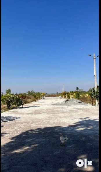 Screenshot-2025-02-15-190854